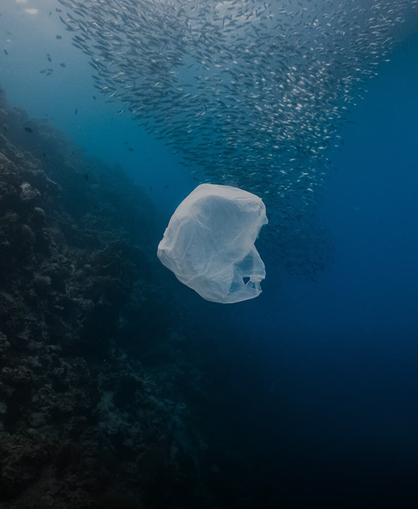  Microplastics in a jar held against a clear blue sky, highlighting plastic pollution crisis.
