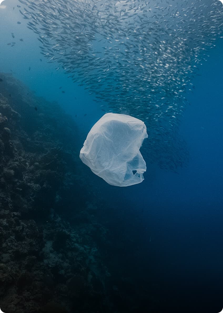 Explorer le paradoxe