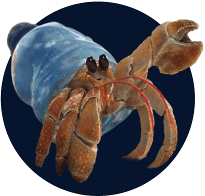Zuzu the crab with a plastic bottle as a shell, highlighting the impact of the plastic waste crisis.