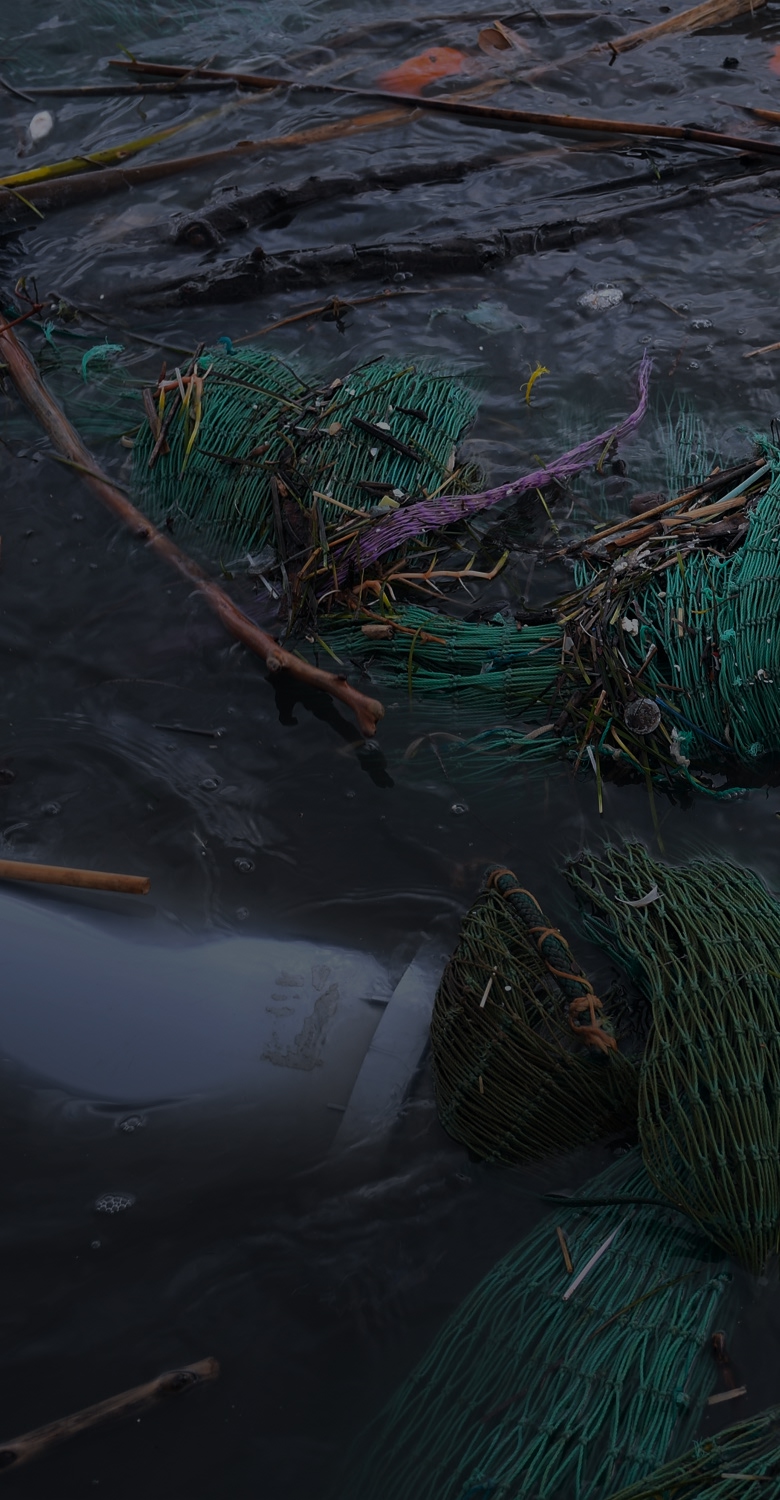 Discarded fishing nets and plastic debris pollute the water, showing the impact of waste.