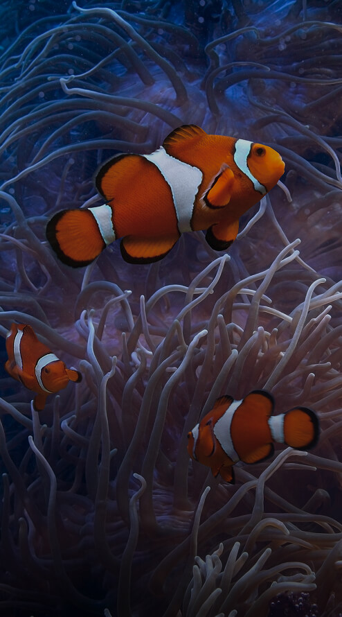 Once-clear water now contaminated with visible plastic pollution