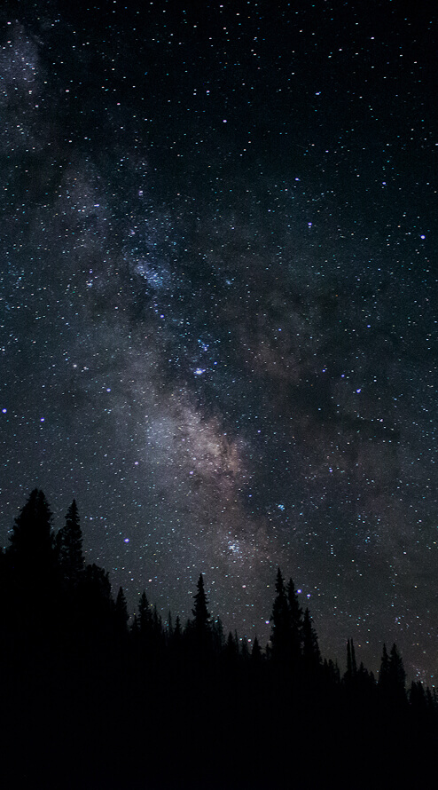 Vibrant clownfish swimming through clean ocean waters